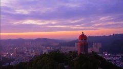 绿肺之殇：观音山毁林背后的多方博弈与治理